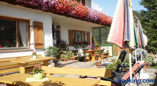 Bauernhof Bichlhof - Serviced accommodation in Thiersee, Austria