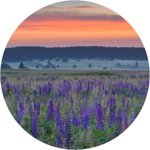 Bavarian Rhön Nature Park
