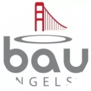Bay Angels - Company