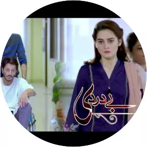 Bay Dardi - 2018 ‧ 1 season