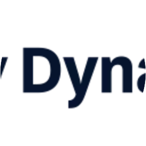 Bay Dynamics, Inc. - Company
