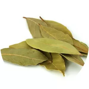 Bay leaf - 
