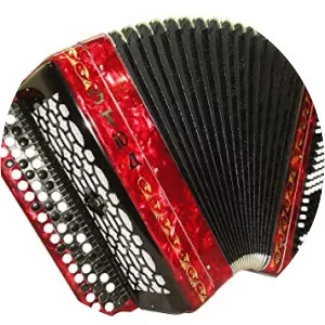 Bayan - Accordion