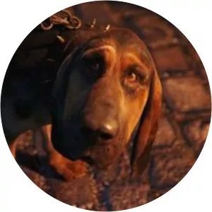 Bayard the Bloodhound - Fictional character