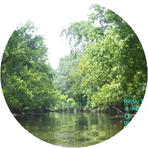 Bayou Manchac - River in Louisiana