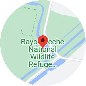 Bayou Teche National Wildlife Refuge - Garden City Unit - 