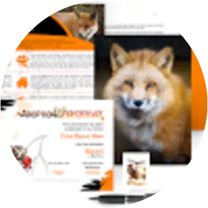 Baytree Owl and Wildlife Centre