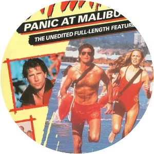 Baywatch: Panic at Malibu Pier