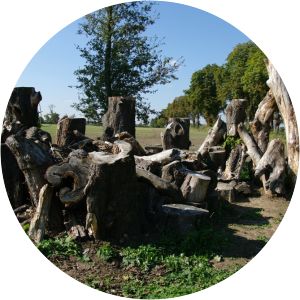 Bažantnice v Satalicích