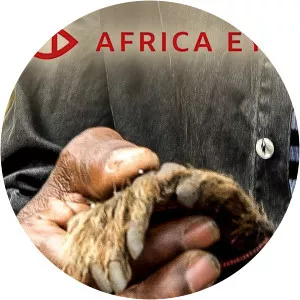 BBC Africa Eye - 2021 ‧ 5 seasons