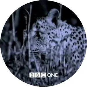 BBC Wildlife Specials