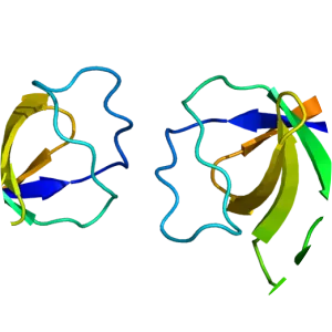 BCAR1 - Protein