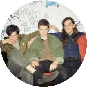 Beach Fossils