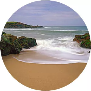 Bean Hollow State Beach