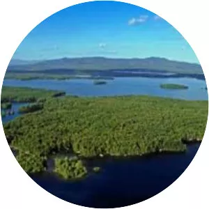 Bear Island - Island in Meredith, New Hampshire