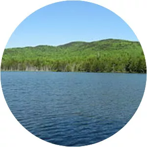 Bear Pond