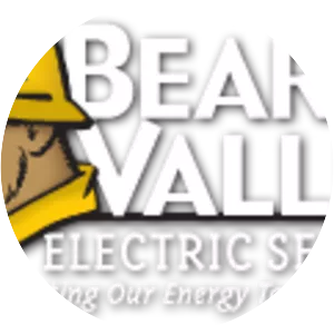 Bear Valley Electric - Company
