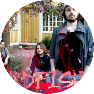 Beardfish - Rock band