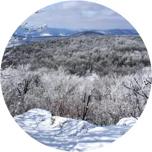 Bearpen Mountain - Mountain in New York