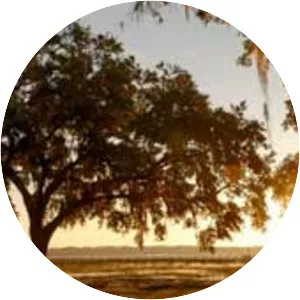 Beaufort County - County in South Carolina