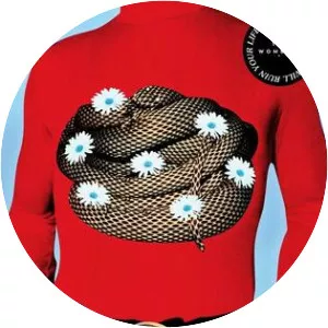 Beautiful People Will Ruin Your Life - Studio album by The Wombats