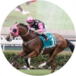 Beauty Generation - Horse