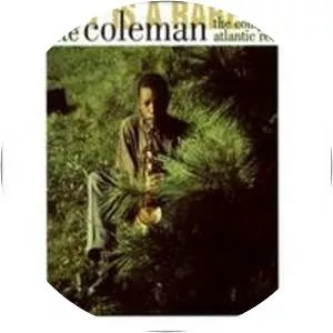 Beauty Is a Rare Thing