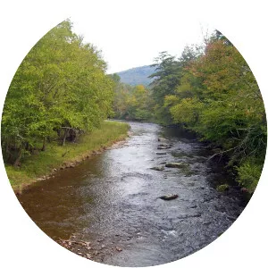 Beaver Kill - River in New York