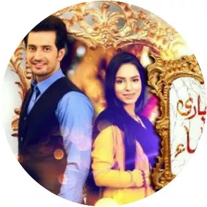 Bechari Mehrunnisa - 2016 ‧ Drama