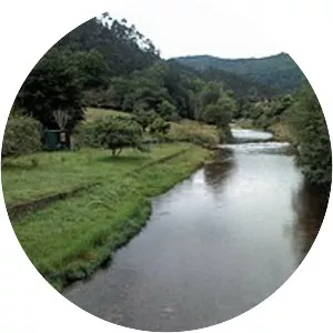 Bedón River