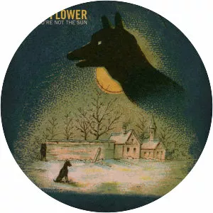 Bee and Flower photograph