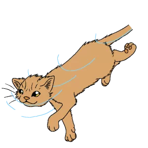 Beechfur - Fictional character