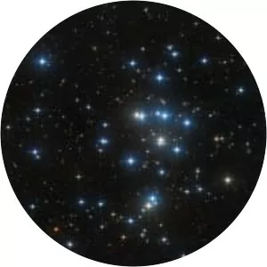 Beehive Cluster photograph