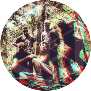 Bees And Enormous Tigers - Musical artist