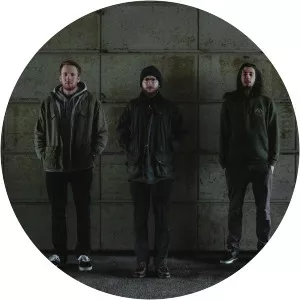 Bees Made Honey in the Vein Tree - Musical group