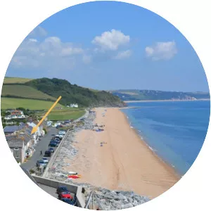 Beesands