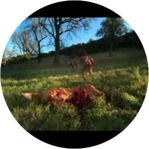 Before We Ruled the Earth