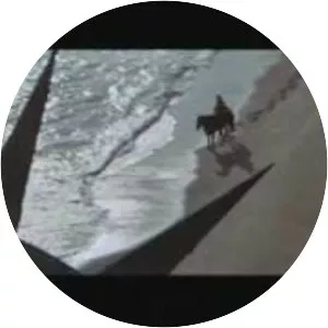 Behind the Planet of the Apes