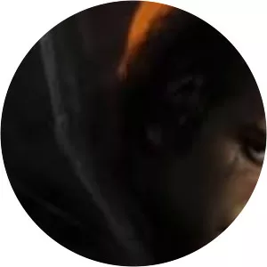 Behind the Scenes photograph