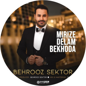 Behrooz Sektor - Musical artist