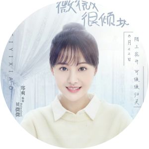 Bei Weiwei - Fictional character