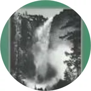 Being in the World: An Environmental . . .