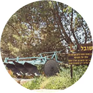 Beit Herut - Moshav in Israel