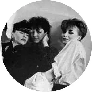 Belaboris - Musical group