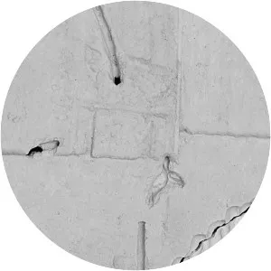 Belia Winnewisser - Musical artist