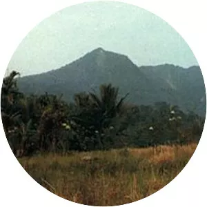 Belirang-Beriti