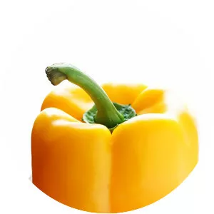 Bell pepper - Plants