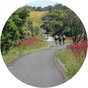 Bellarine Rail Trail - 