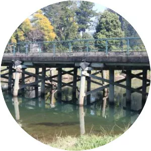 Bellingen Shire Council