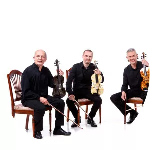 bellowhead amber quartet - Musical quartet